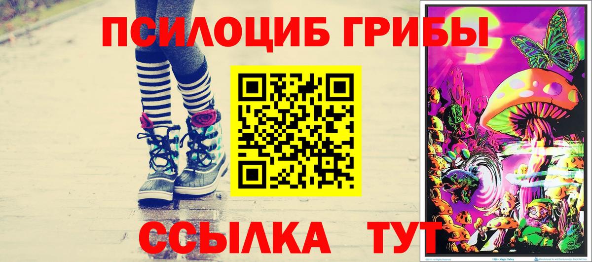 Кимры  Псилоцибиновые грибы Cubensis  Вход с VPN  Псилоцибиновые грибы Psilocybe 