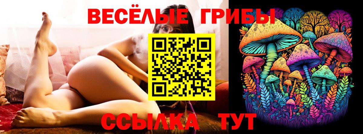 Псилоцибиновые грибы Magic Shrooms Кимры